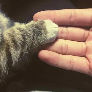 顶臂部配合视频
