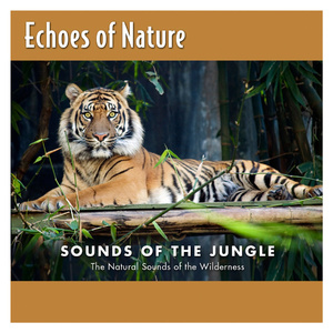 顶臂部配合视频
