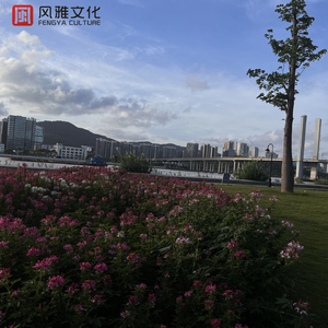 顶臂部配合视频
